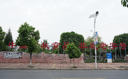 當(dāng)定制葛粉時(shí)，我們真正在選擇什么？