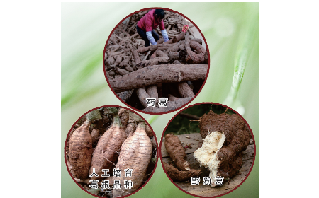 買葛粉是買野生的好？還是野生有機(jī)的好？